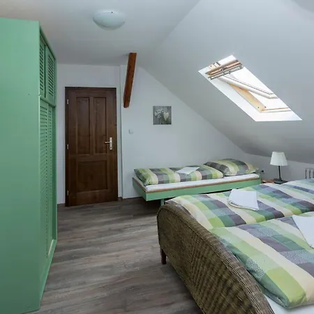 U Hudecku Apartment *