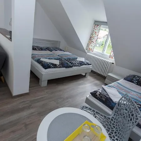 U Hudecku 아파트 자도프