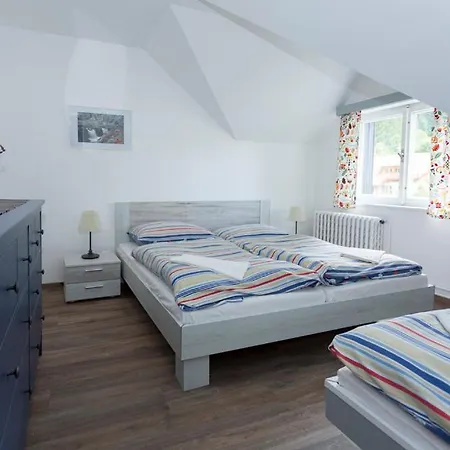 U Hudecku Apartment *