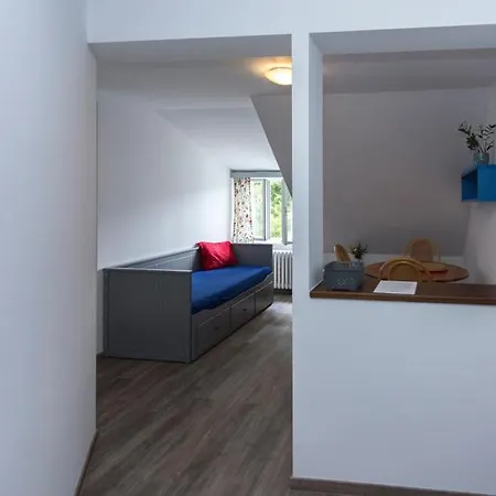 U Hudecku Apartment *